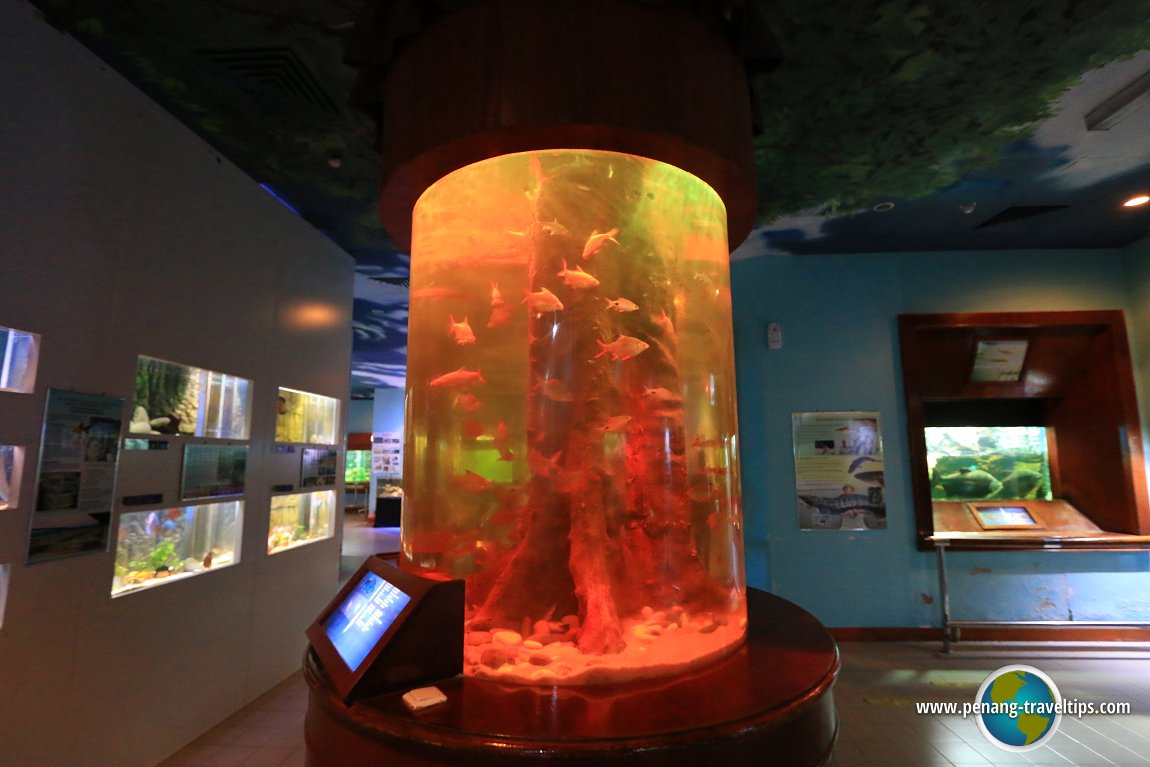 Penang Aquarium