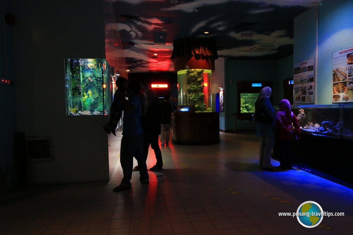 Penang Aquarium