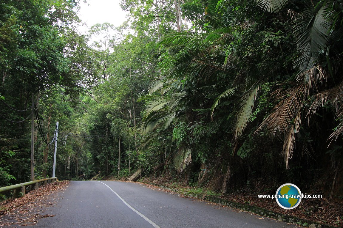 Gunung Jerai