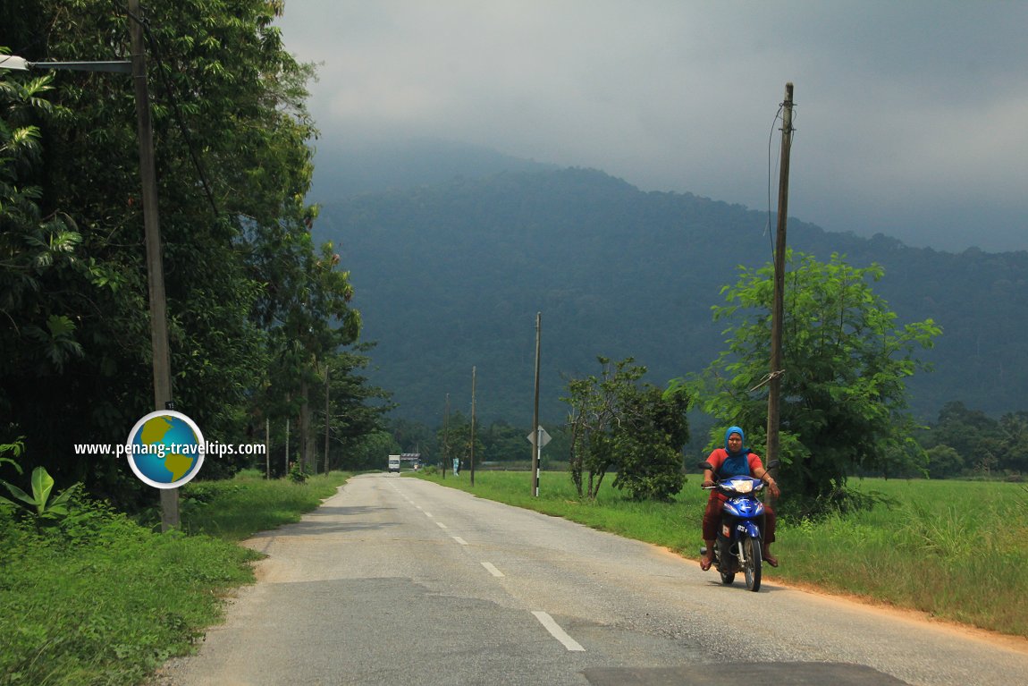 Pemandangan Gunung Jerai