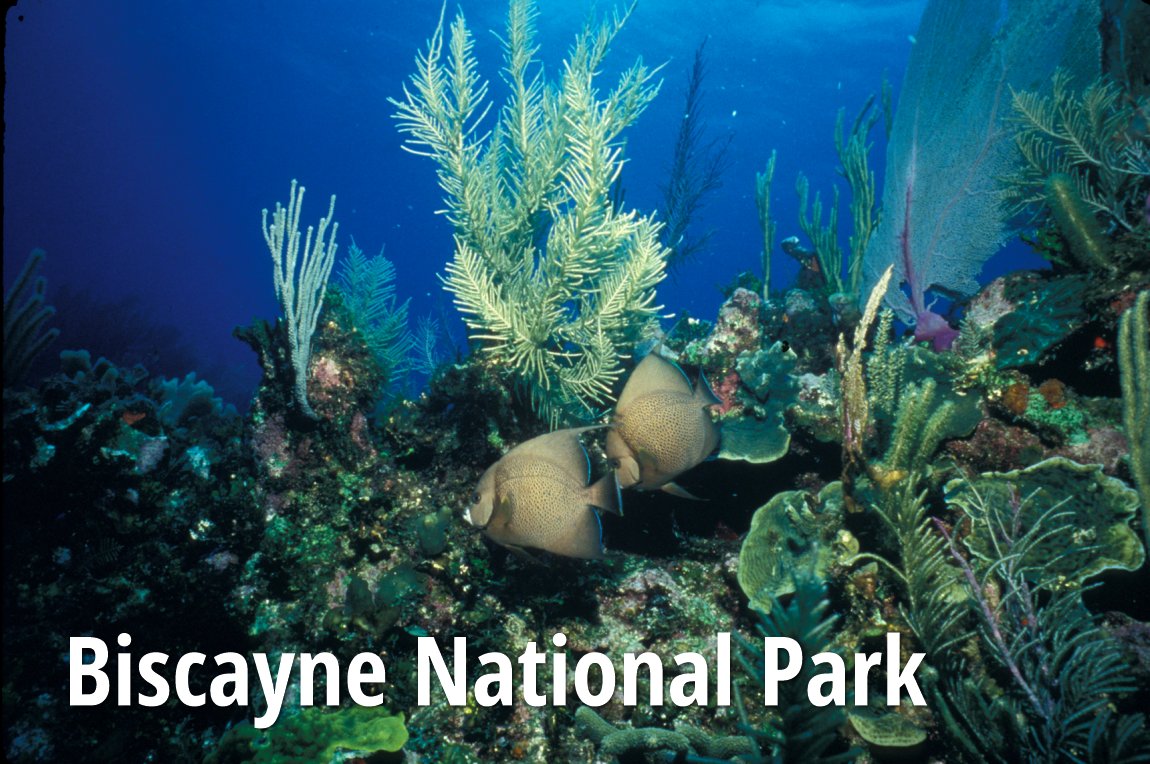 Biscayne National Park