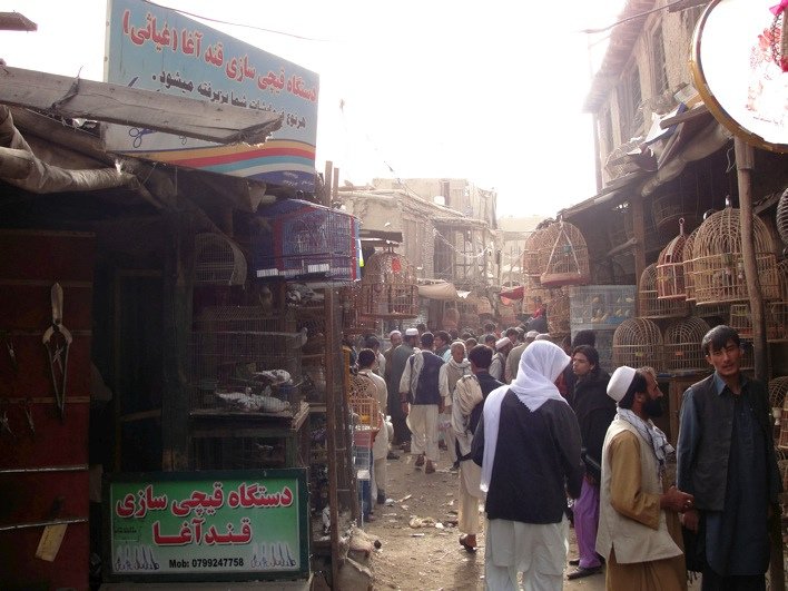 Bird Street, Kabul, Afghanistan