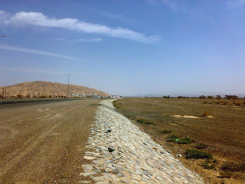 Desert landscape, UAE