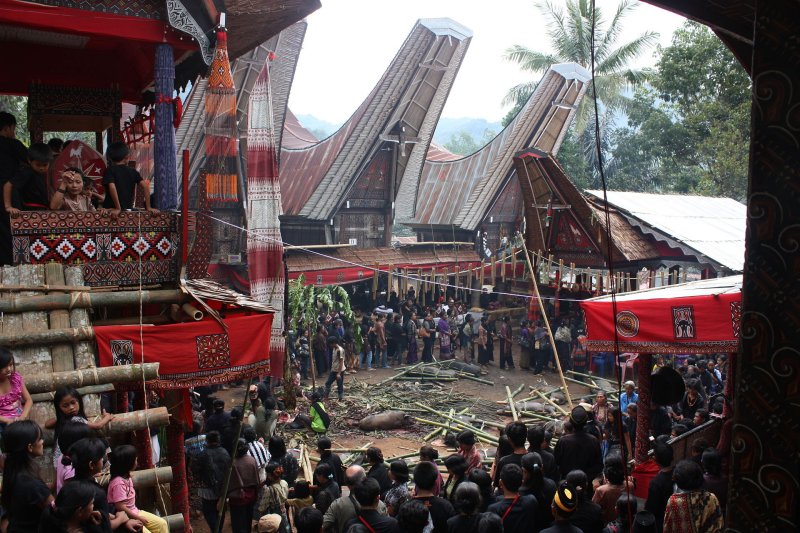 Funeral in Tana Toraja