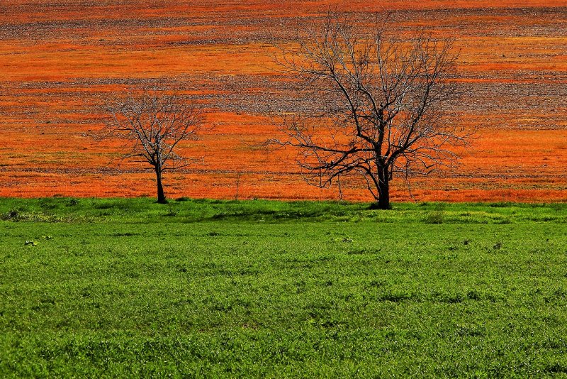 Landscape in Israel