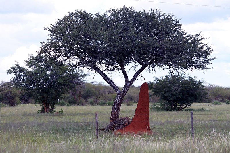 Landscape between Omaruru and Outjo, Namibia