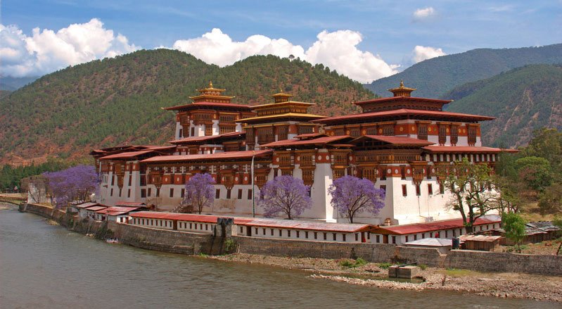 Punakha Dzong in spring