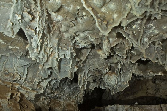 Boxwork in the Lower Cave of Wind Cave National Park, South Dakota
