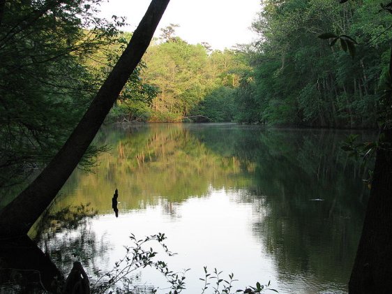Weston Lake, Congaree National Park, South Carolina