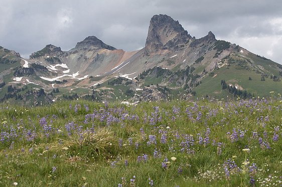 Cowlitz Chimneys, Mount Rainier National Park