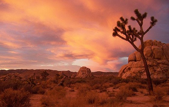 Sunrise at Hidden Valley campground, Joshua Tree National Park