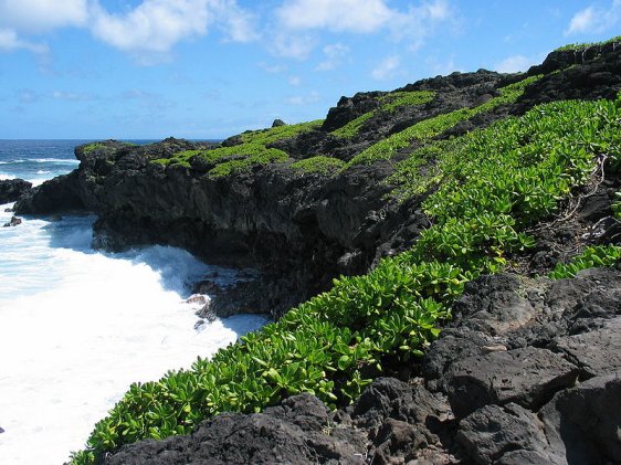 Kipahulu Coast, Hawaii