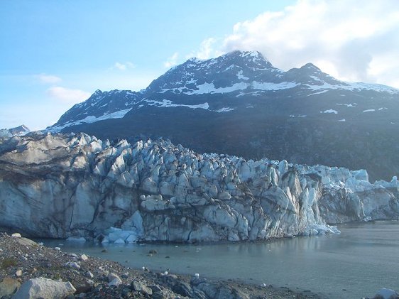 Lamplugh Glacier, Glacier Bay National Park, Alaska