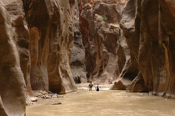 The Narrows, Zion National Park