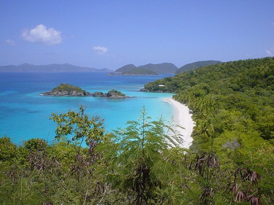 Trunk Bay in St John, US Virgin Island