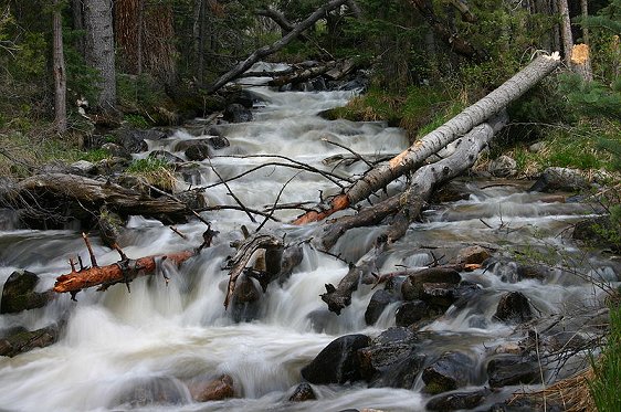 Upper Lehman Creek, Great Basin National Park