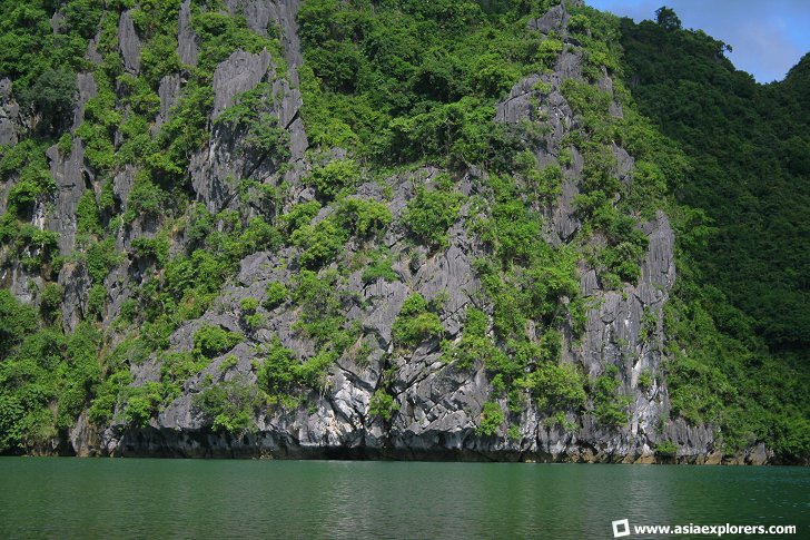 Cat Ba National Park