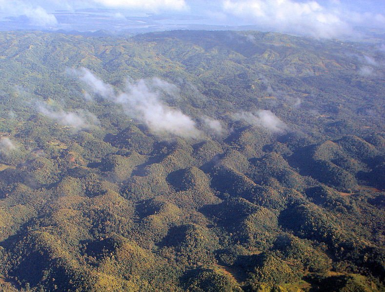 Aerial view of Chocolate Hills