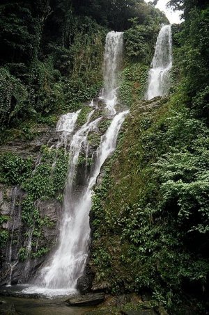 Tamaraw Falls, Mindoro