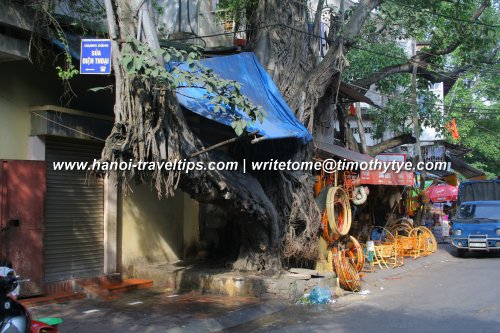 Banyan tree and rattan shop hiding the Thanh Ha Communal House