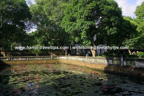 Lotus Pond