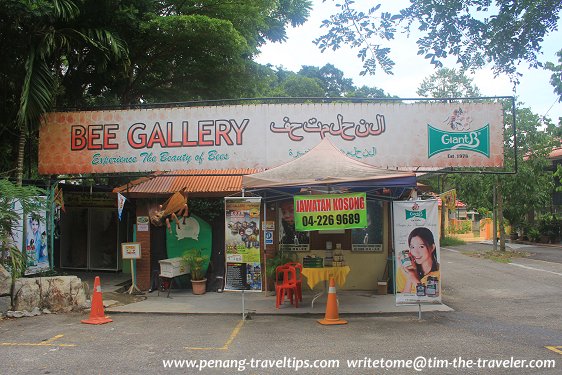 Botanic Garden Bee Gallery