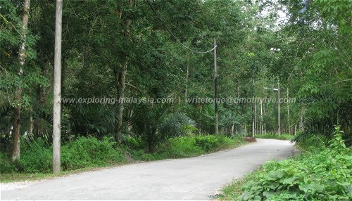 Continue down the kampung road