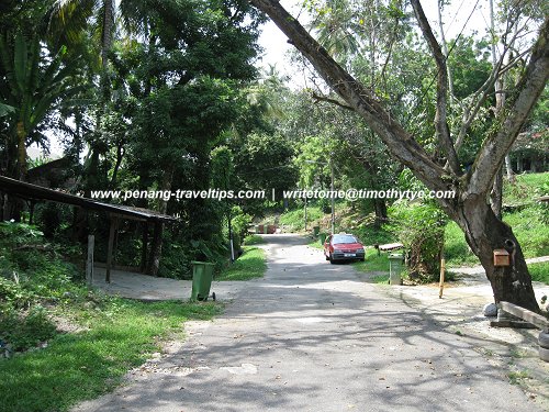 Lorong Buah Pala