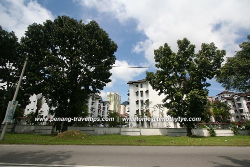 Taman Desa Relau