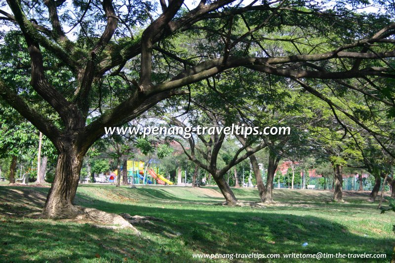 Linear Park