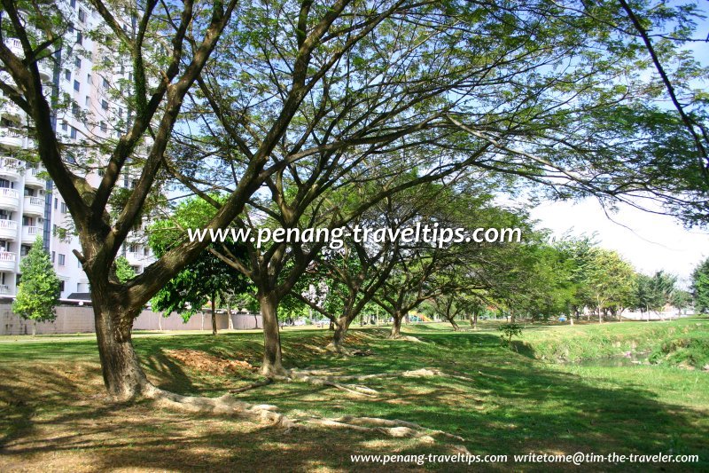 Linear Park
