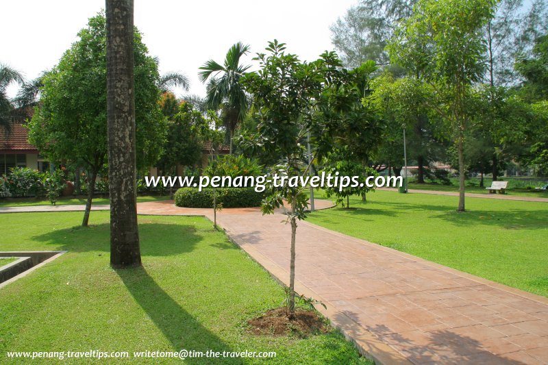 Manicured lawn at Linear Park