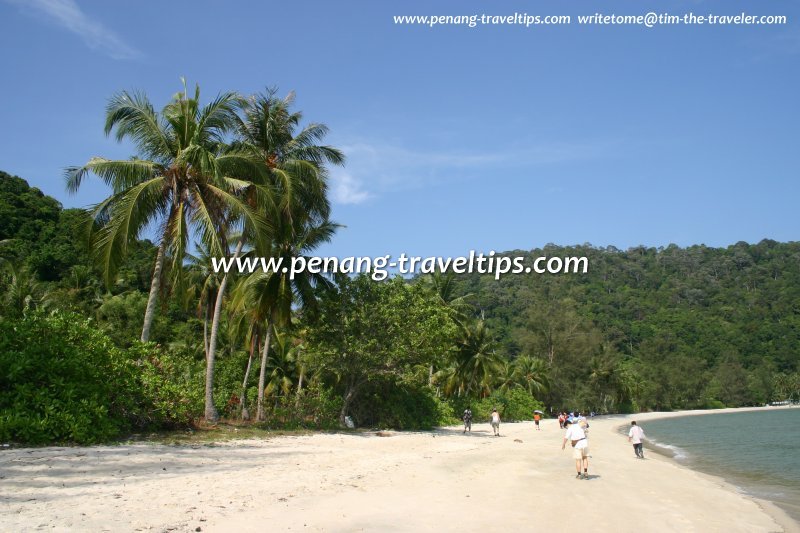 Teluk Duyung
