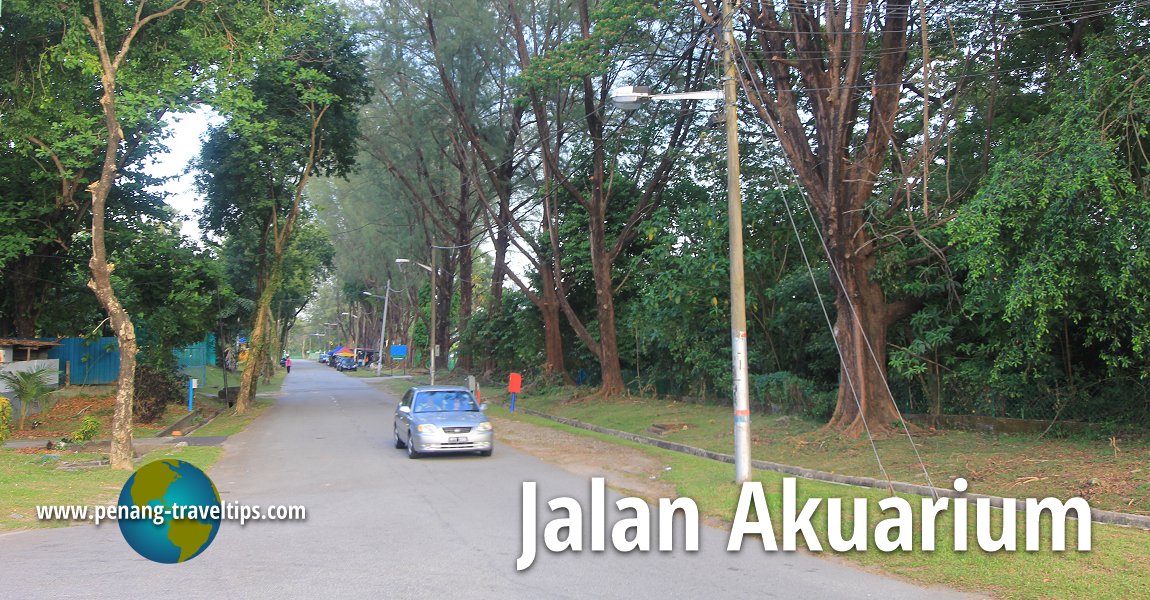 Jalan Akuarium, Gelugor