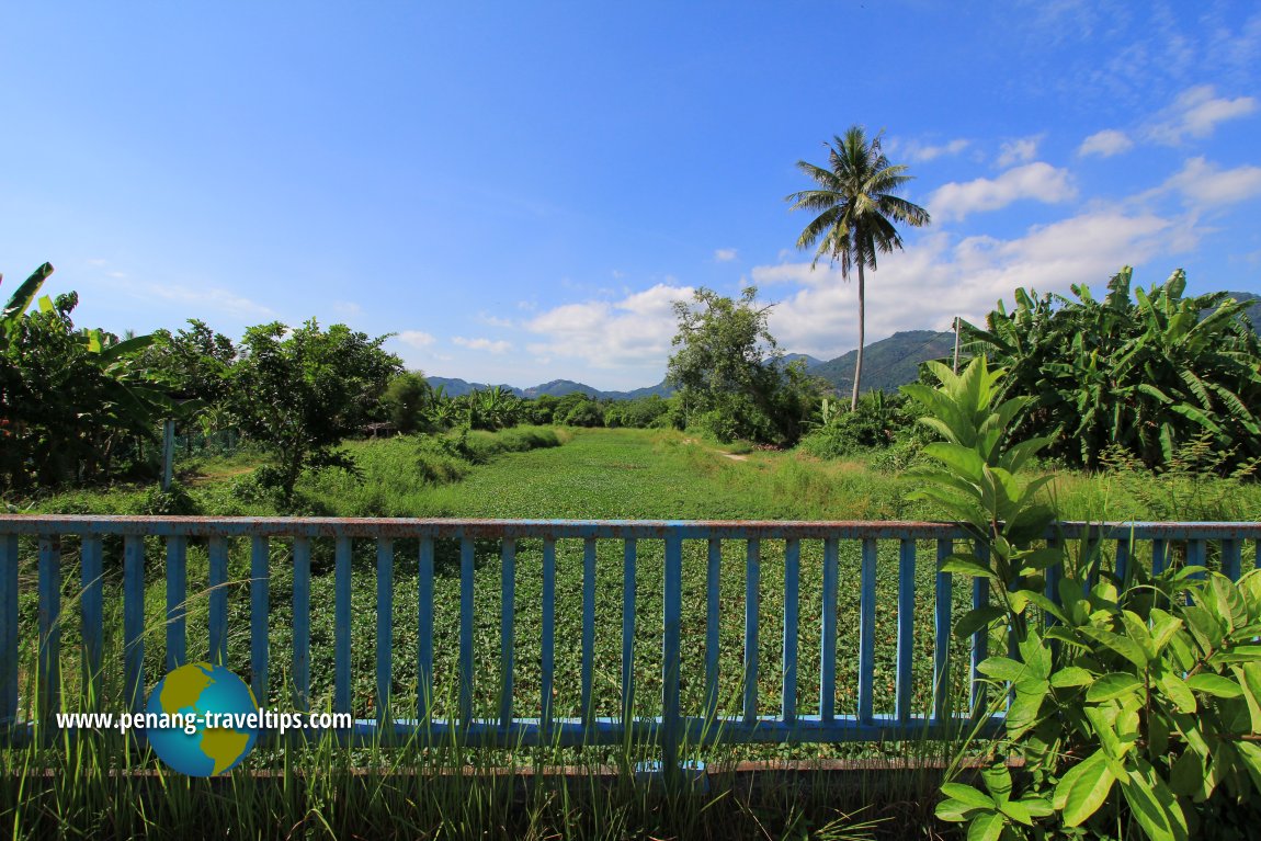 Jalan Permatang Pasir, Balik Pulau