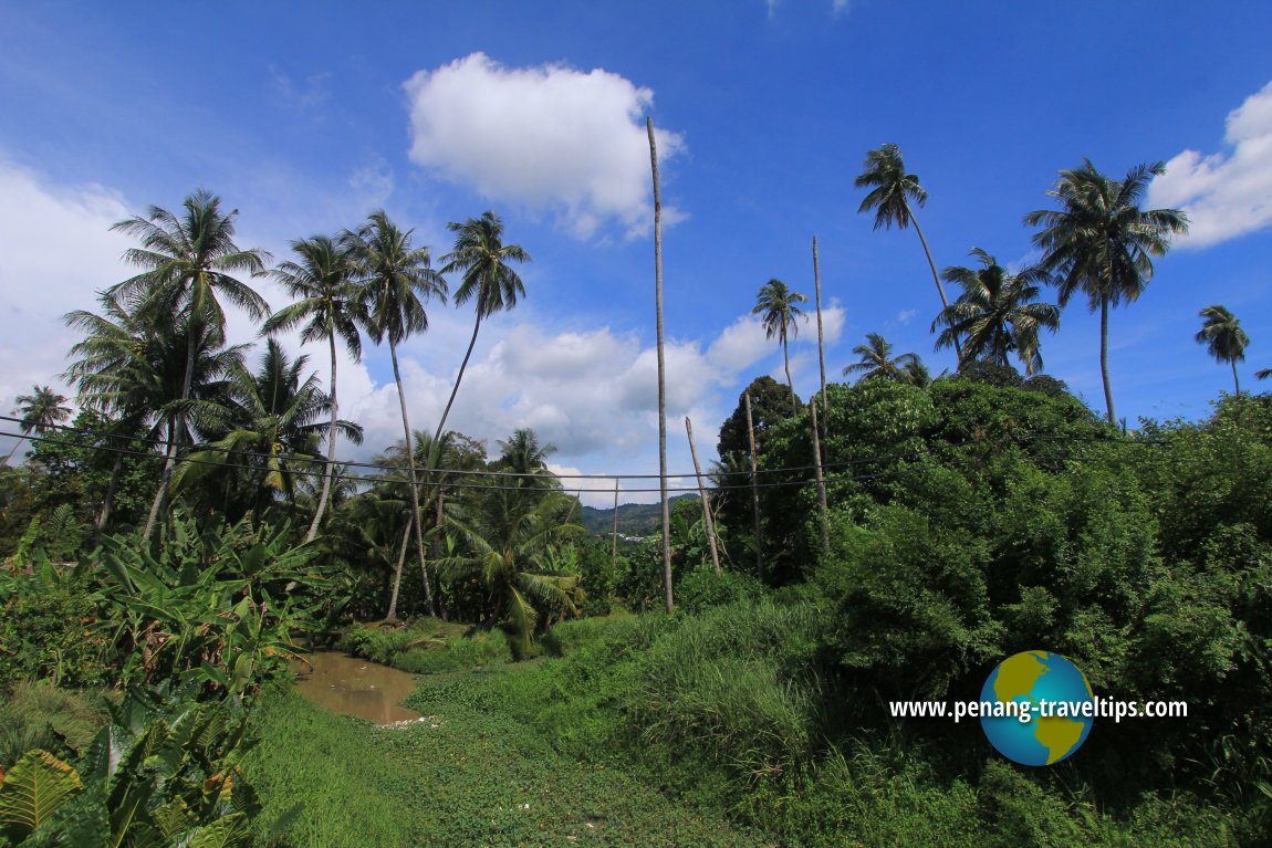 Kampung Sungai Burung, Balik Pulau