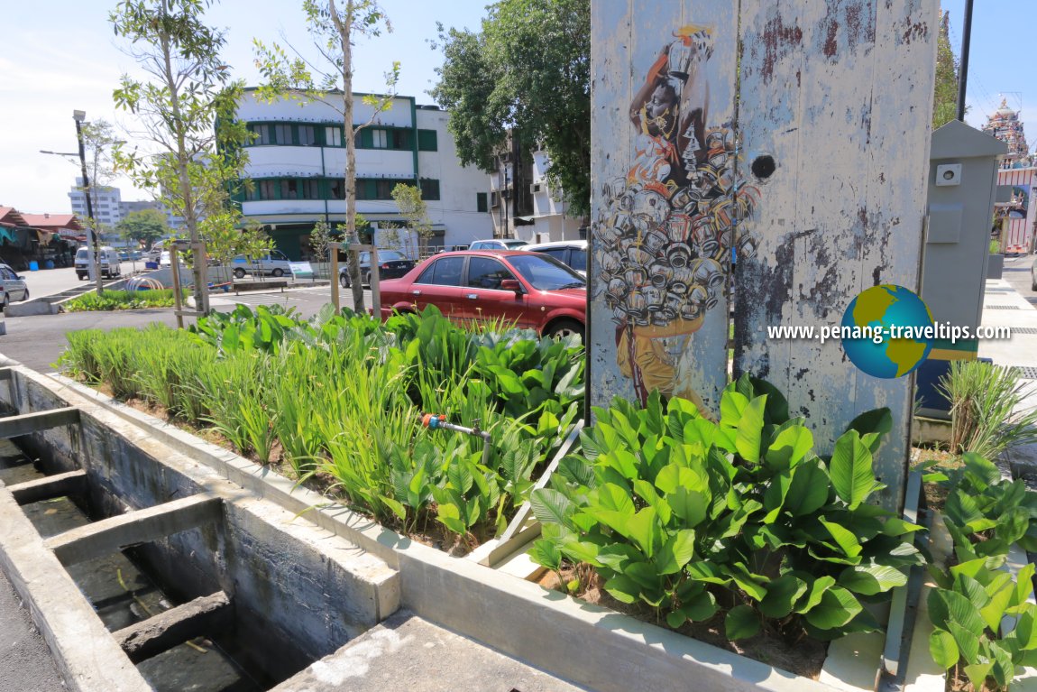 Rain Garden