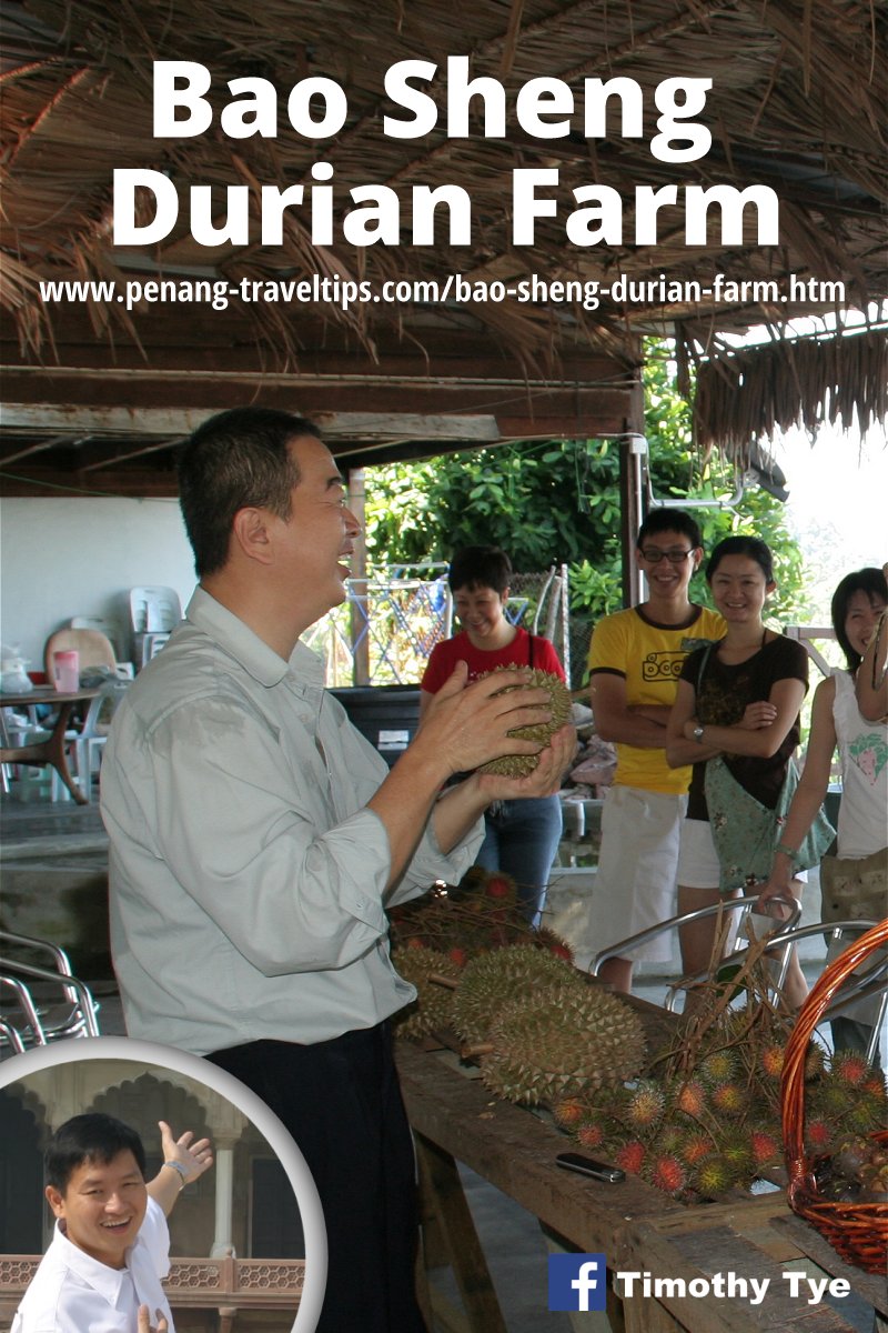 Bao Sheng Durian Farm