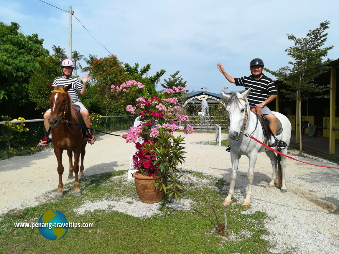 Countryside Stables