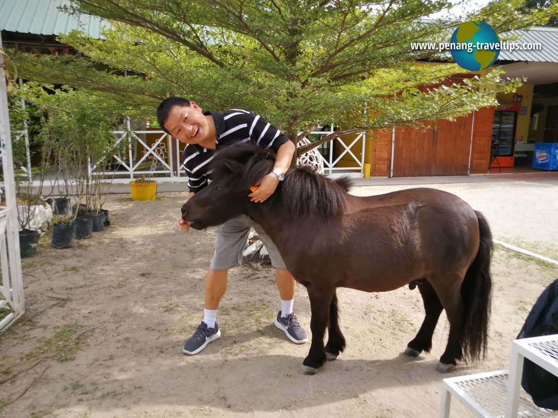 Countryside Stables