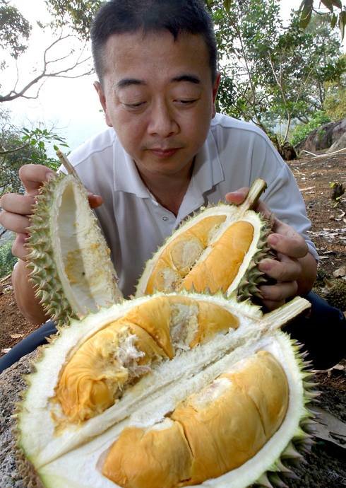 Durian Seng of Bao Sheng Durian Farm