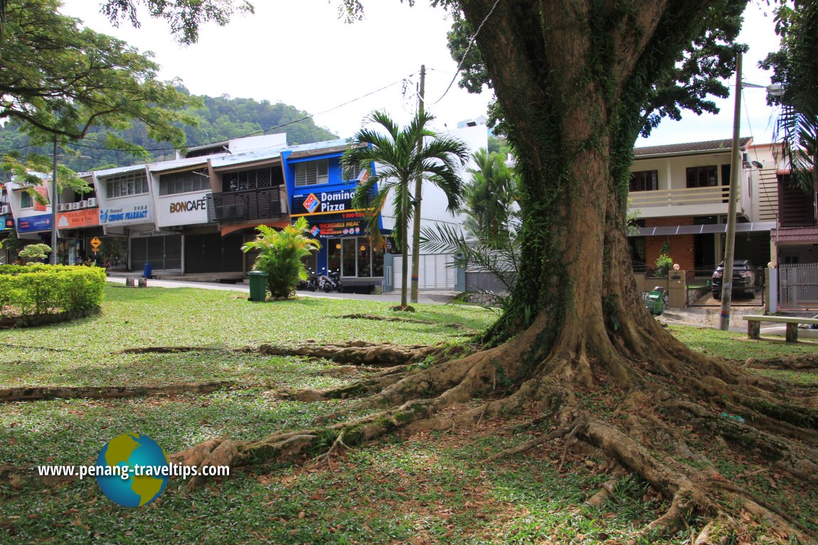 Hillside, Tanjong Bungah