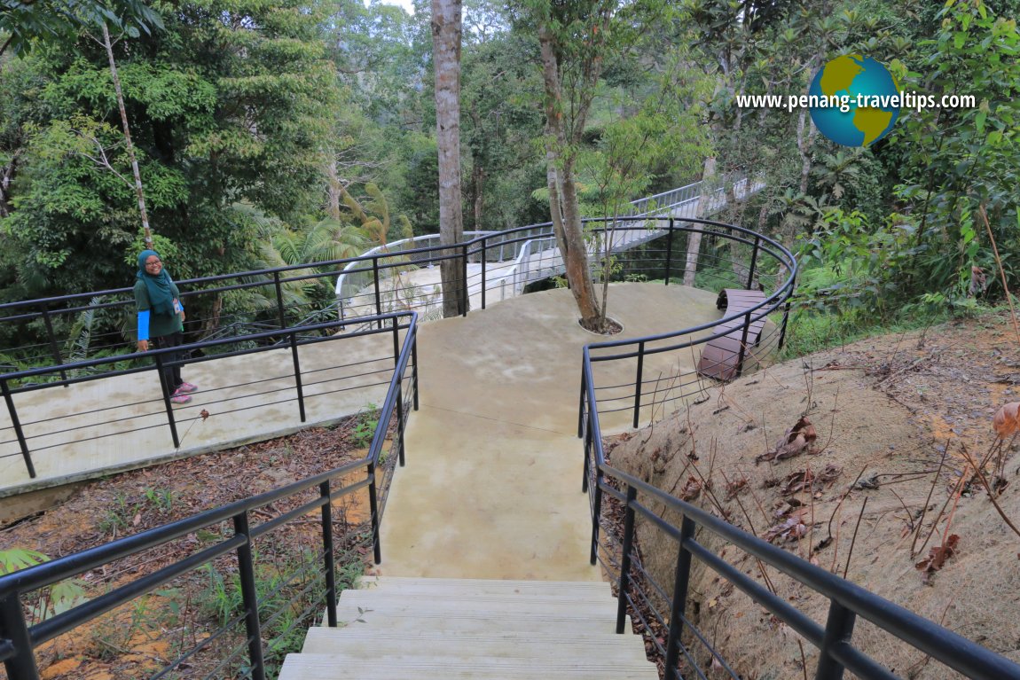 Langur Way Canopy Walk