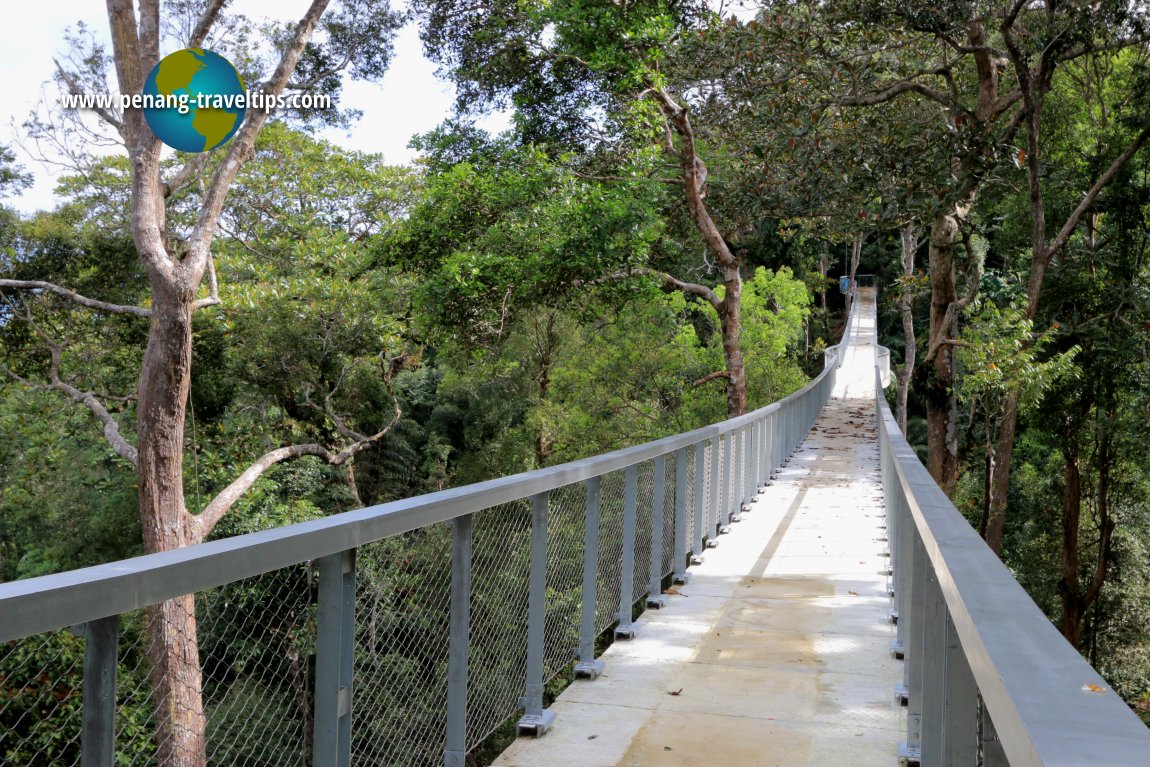 Langur Way Canopy Walk