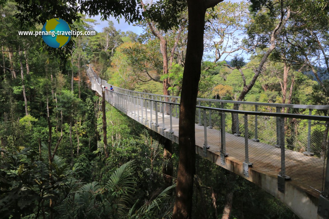 Langur Way Canopy Walk