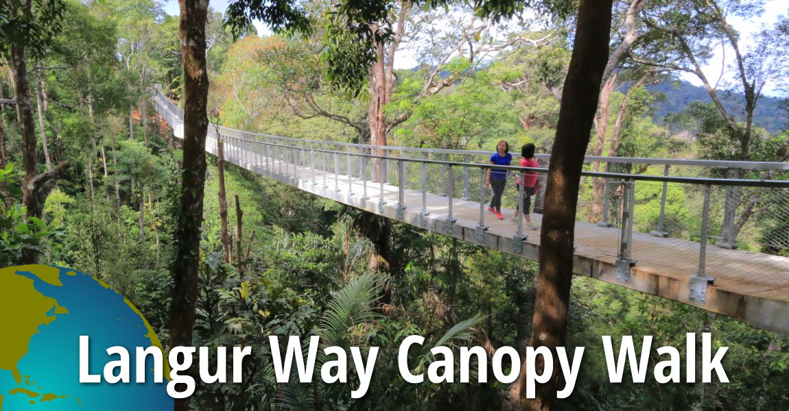 Langur Way Canopy Walk