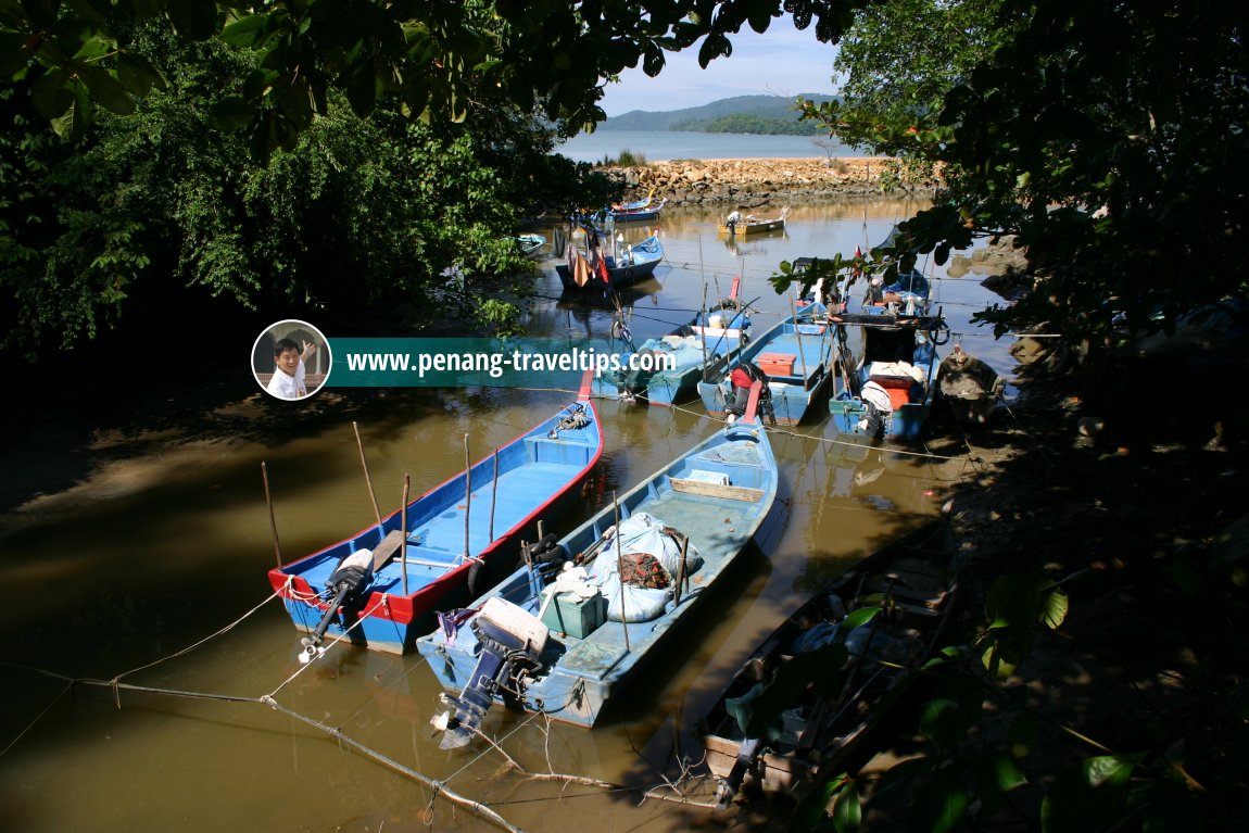 Estuary of Sungai Batu