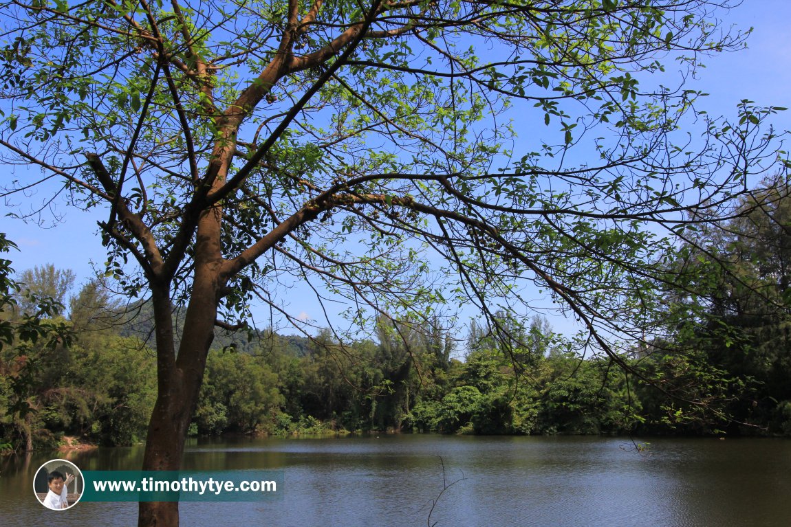 Tasik Teluk Bayu