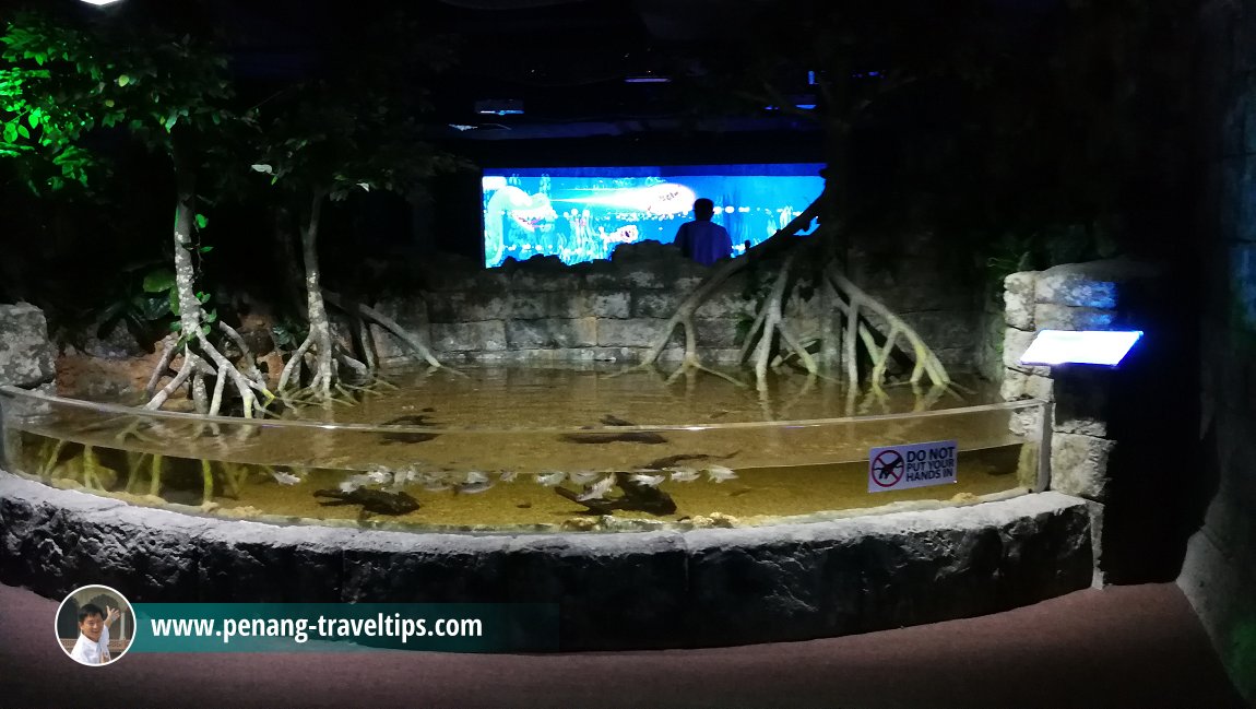 TOP Boutique Aquarium, The TOP, Komtar