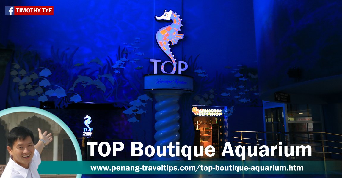 TOP Boutique Aquarium, The TOP, Komtar